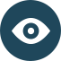 Vis